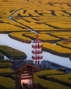 Area Escénica Xinghua