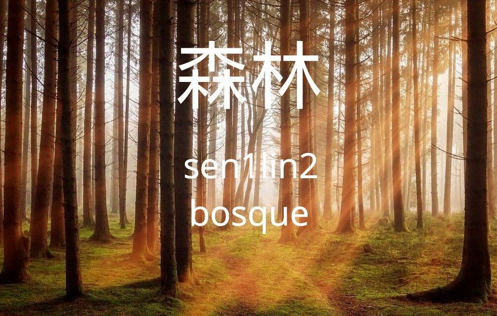 森林 - sēnlín - bosque