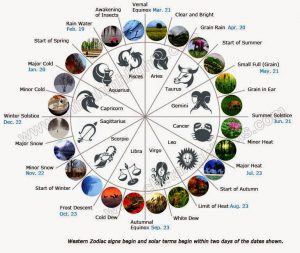 ¿Qué son los 24 términos solares?