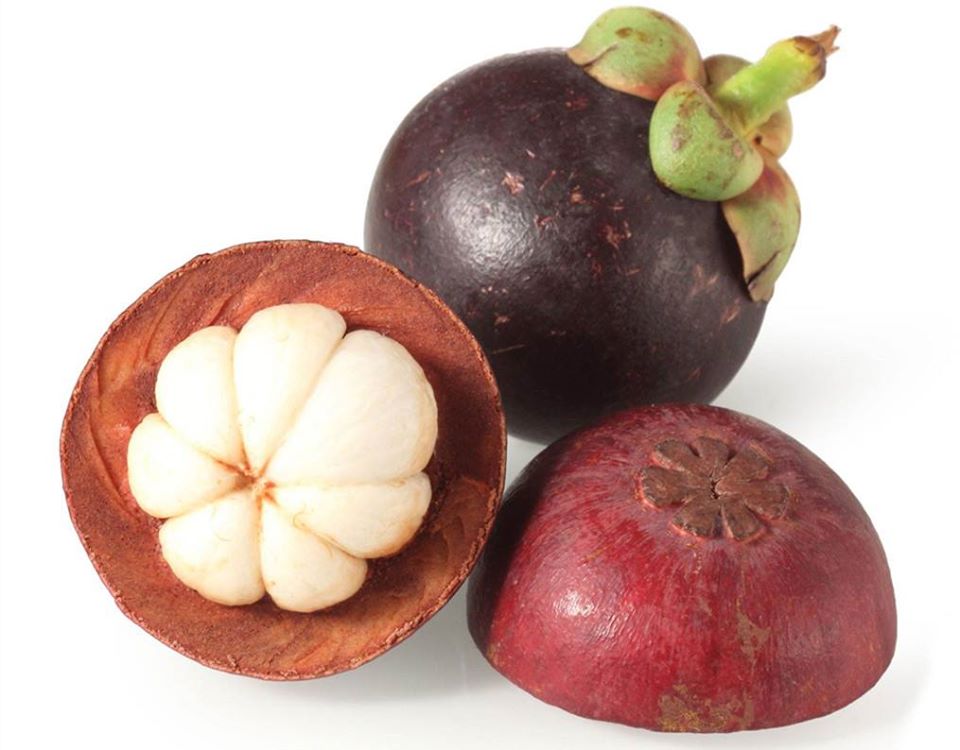 Mangostan