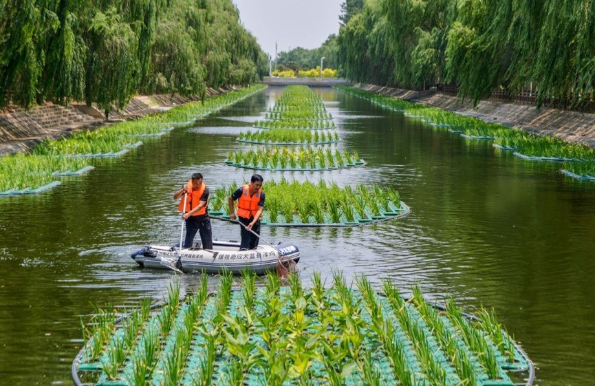 Isla Flotante Ecológica China