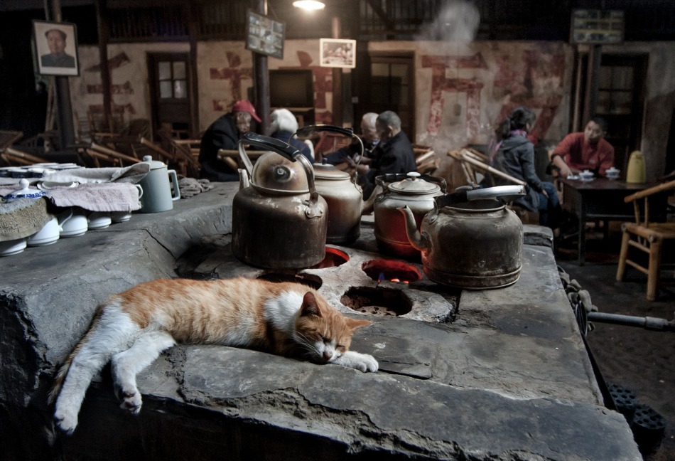 Guanyin Pavilion Old Tea House