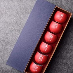 Set 6 Tazas de Té Gongfu de Porcelana