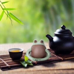 Mascota de Té: Rana de Arcilla Zisha de YIxing