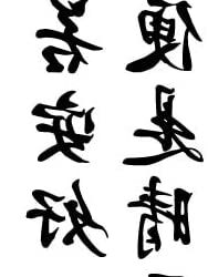 Tatuaje Temporal Impermeable de Letras Chinas