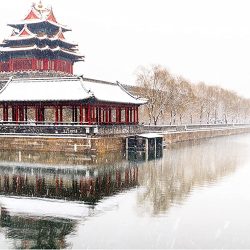 Puzzle Torre de la Esquina de la Ciudad Prohibida 1.000 PIezas