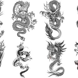 Tatuajes de Dragón